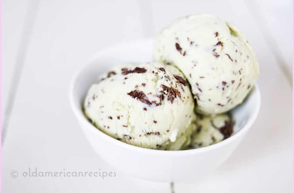 Mint Chocolate Chip Ice Cream