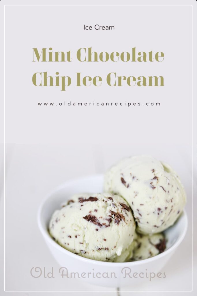 Mint Chocolate Chip Ice Cream