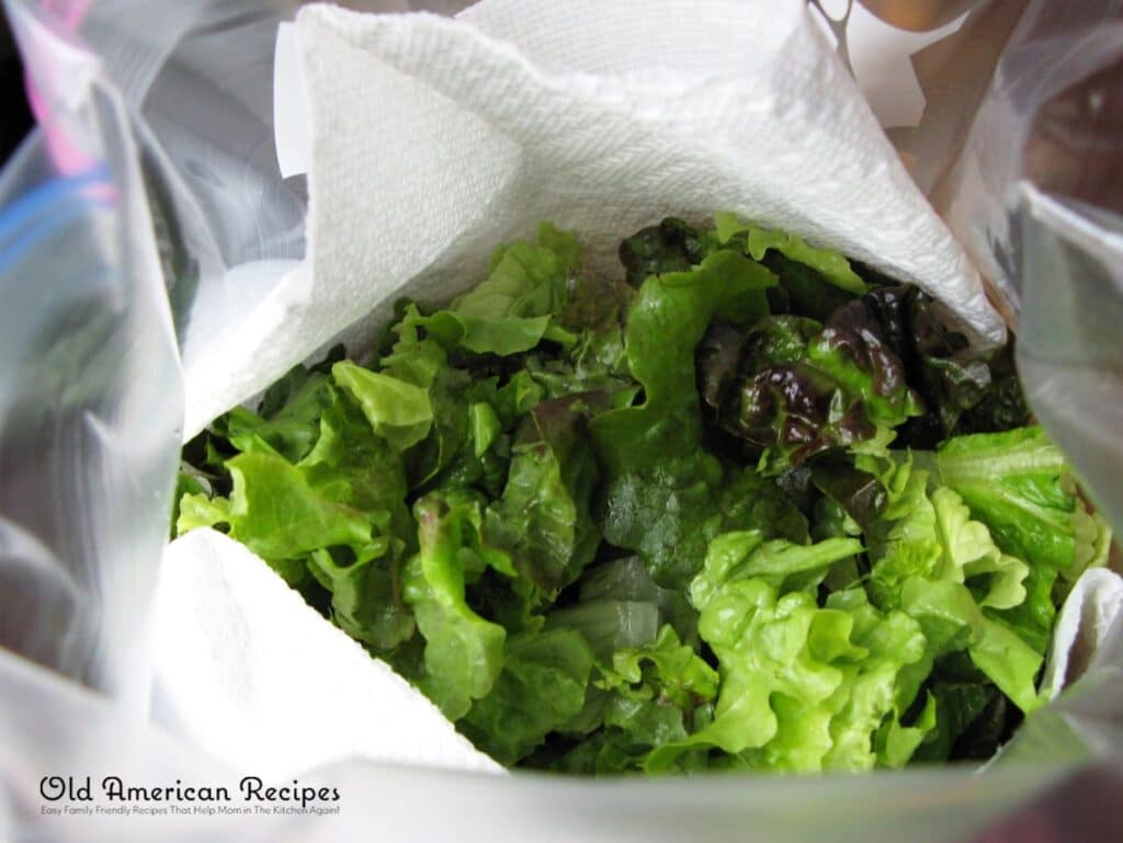 Storing cut lettuce