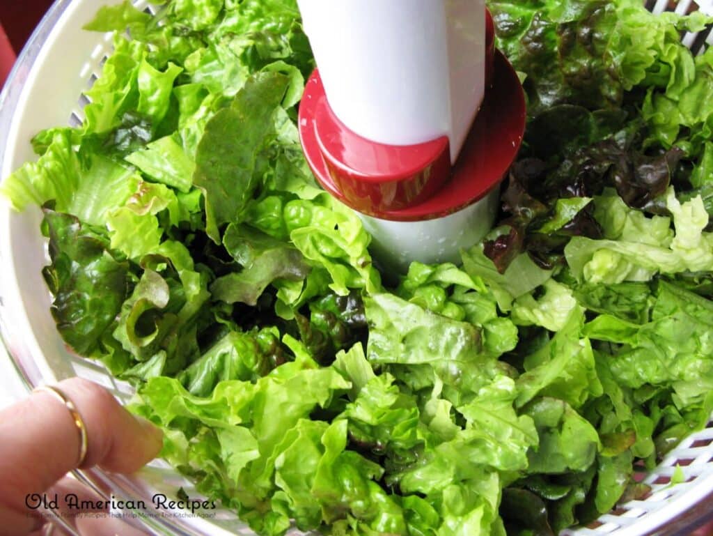 Storing cut lettuce