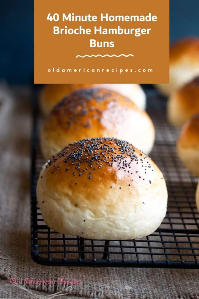 40 Minute Homemade Brioche Hamburger Buns