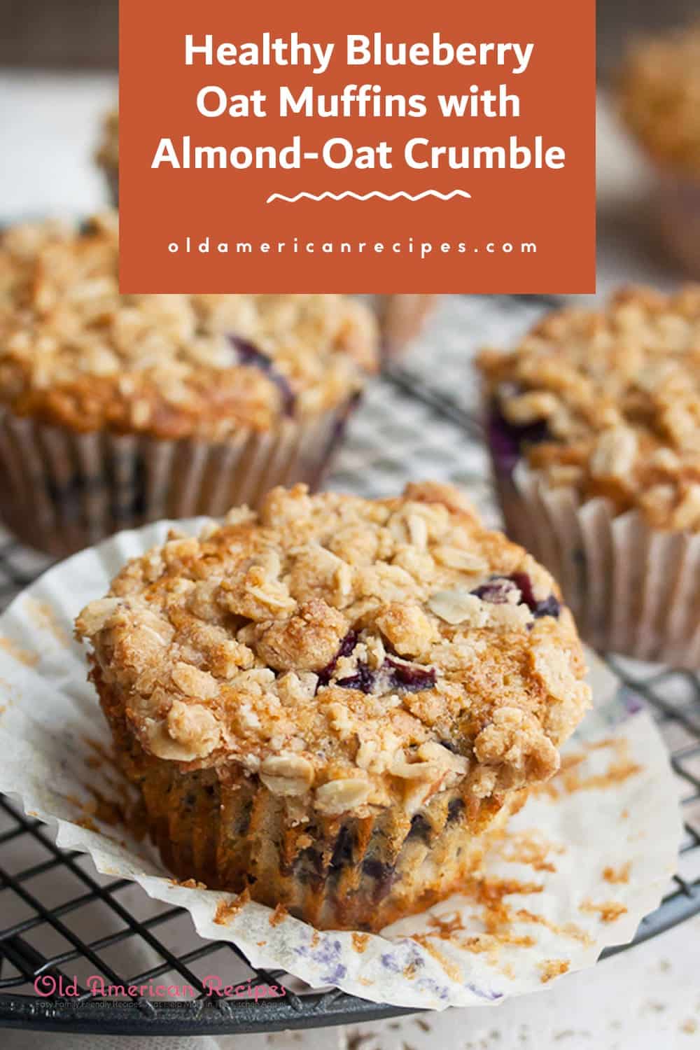Healthy Blueberry Oat Muffins With AlmondOat Crumble Old American